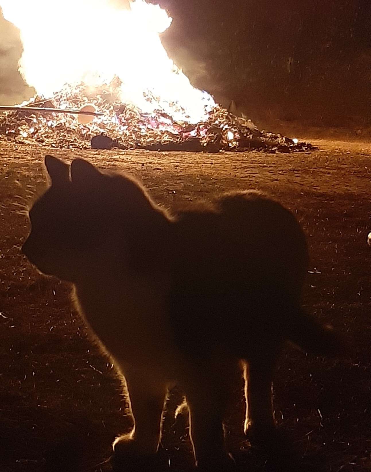 ahaさんのプロフィール画像