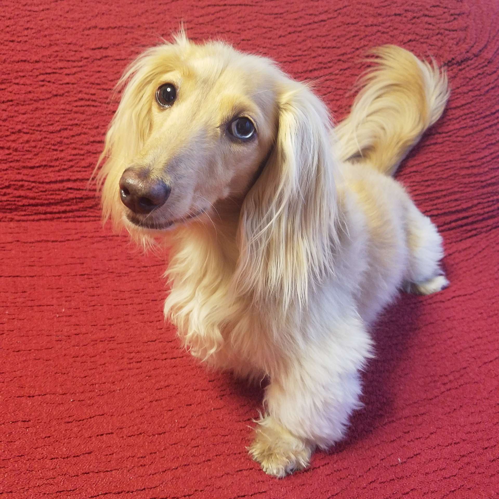 sakuralunaさんのプロフィール画像