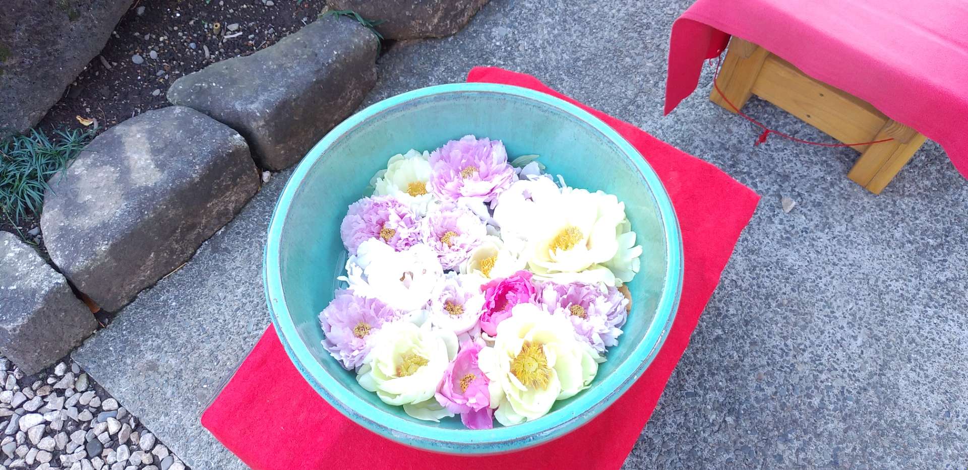 yosh!さんのプロフィール画像