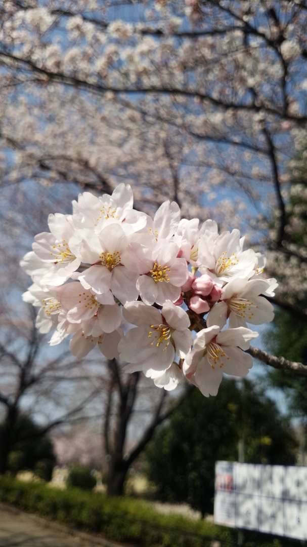 みさりんさんのプロフィール画像