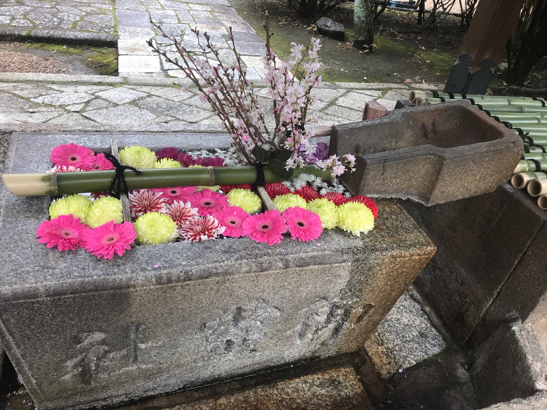 kazmiさんのプロフィール画像