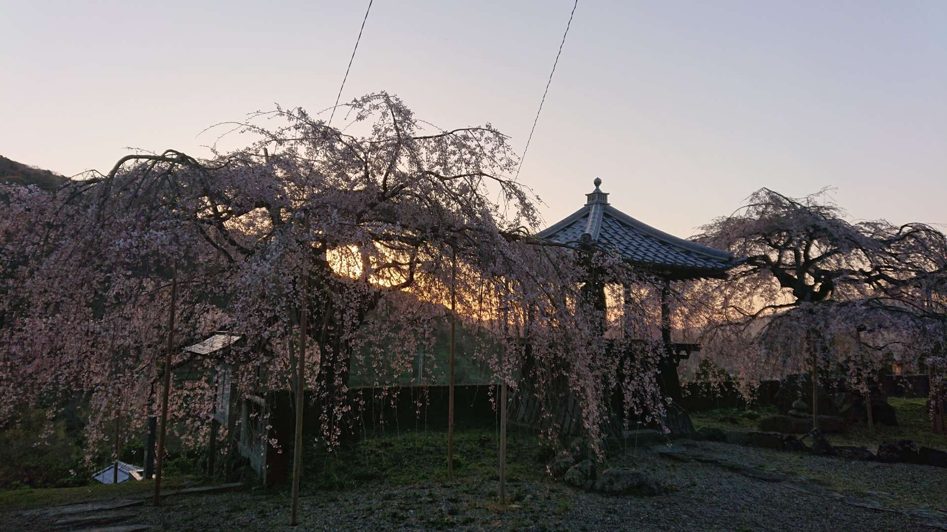 宝厳寺さんのプロフィール画像