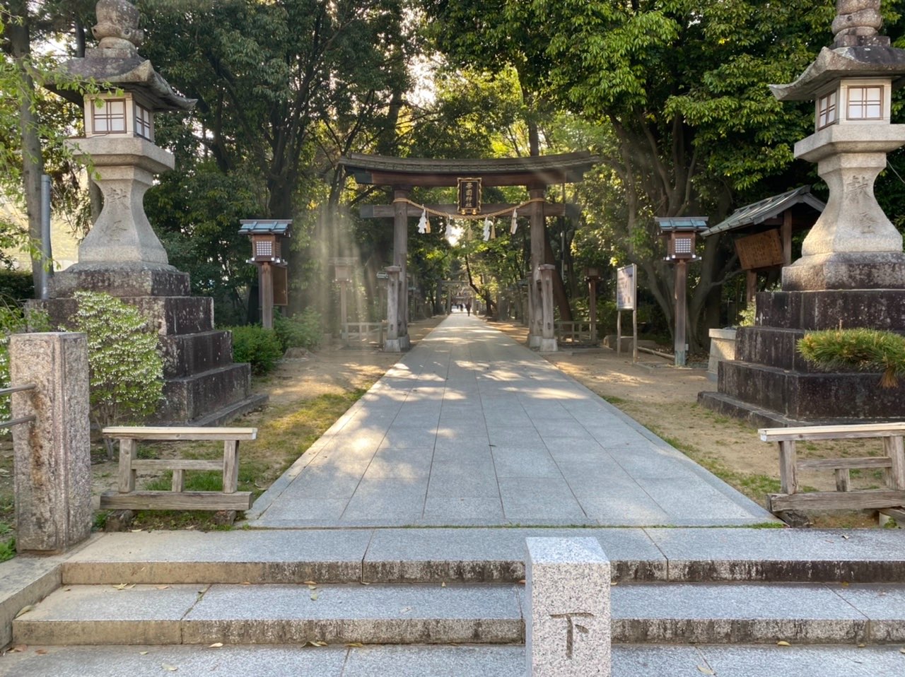 黒ごまアイスさんのプロフィール画像