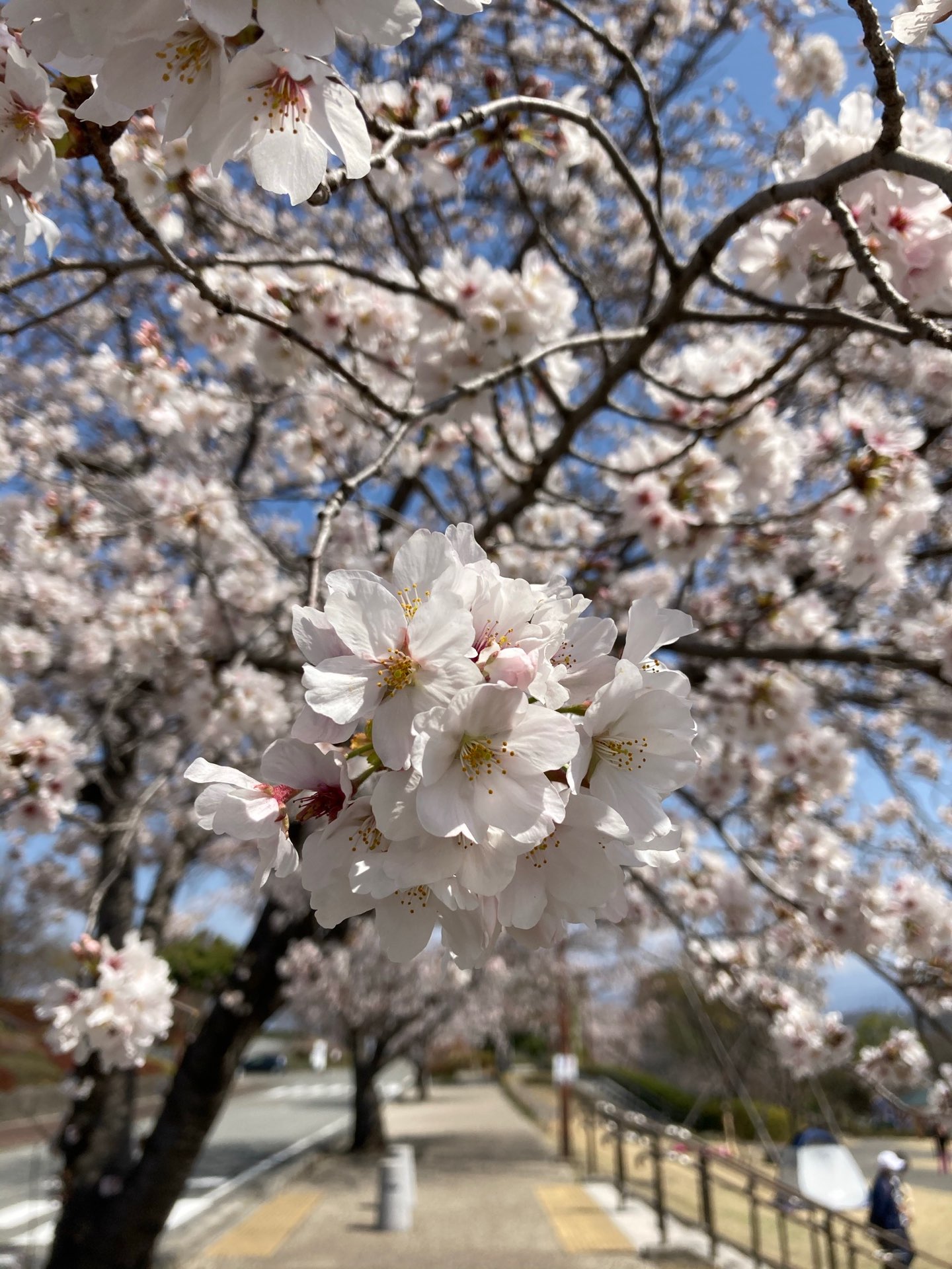 さらささんのプロフィール画像