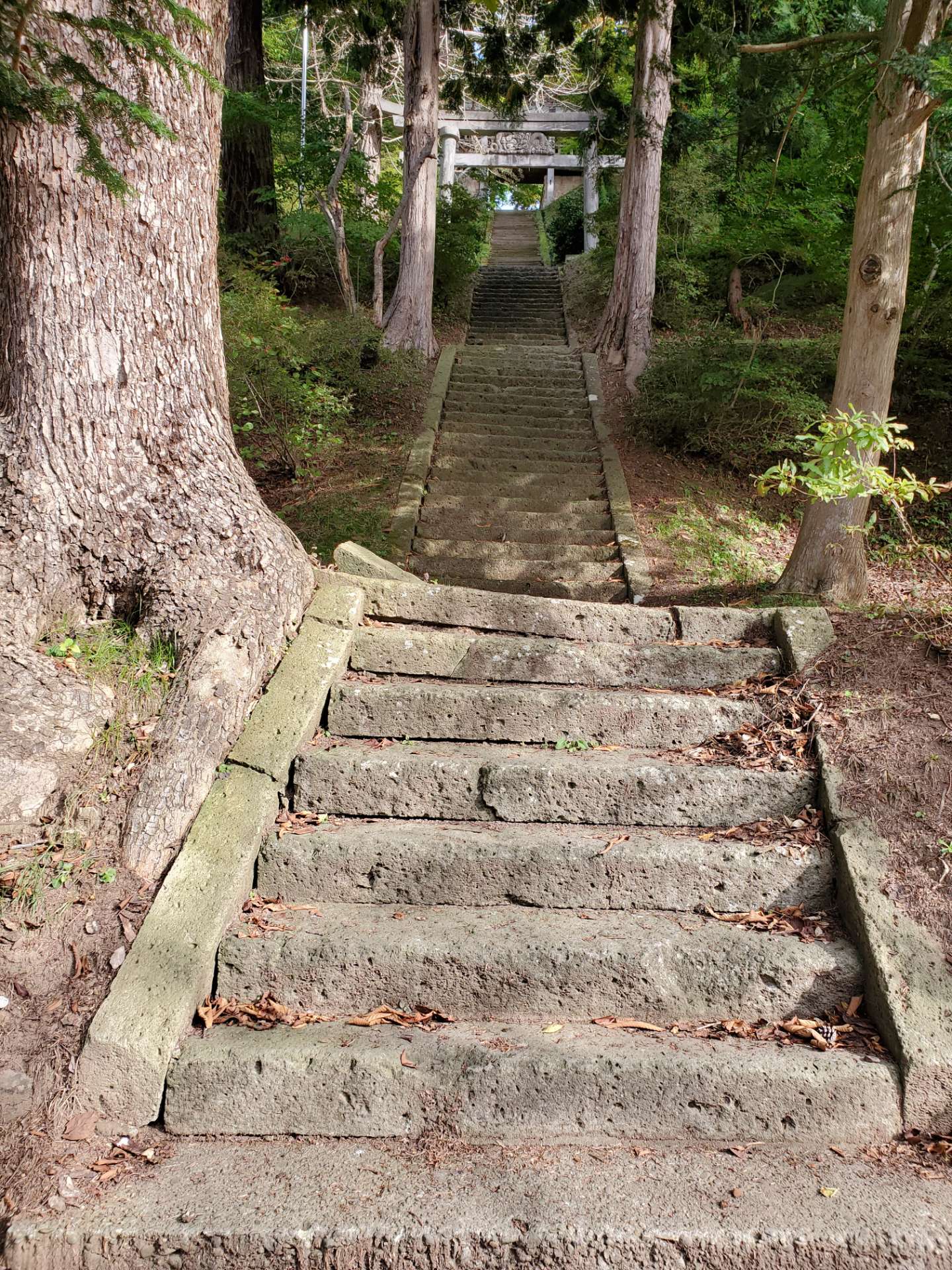 さっこちゃんさんのプロフィール画像