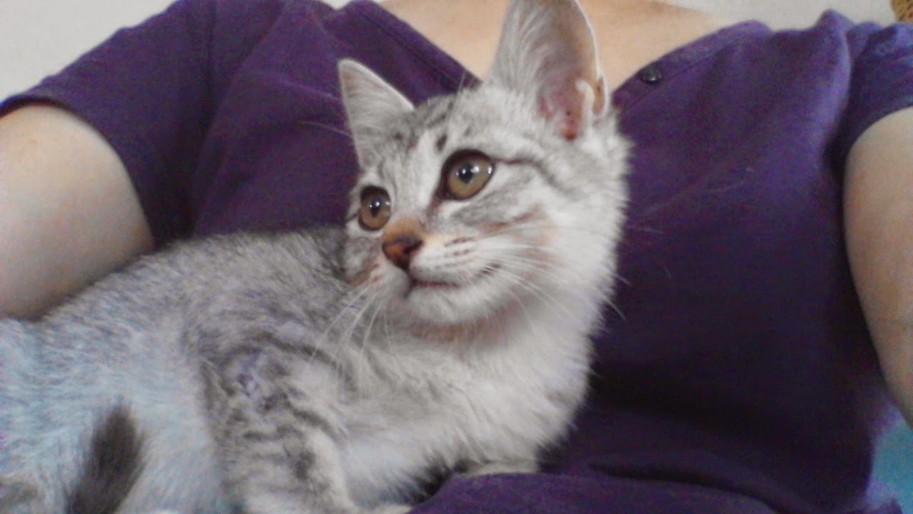 みぃみさんのプロフィール画像