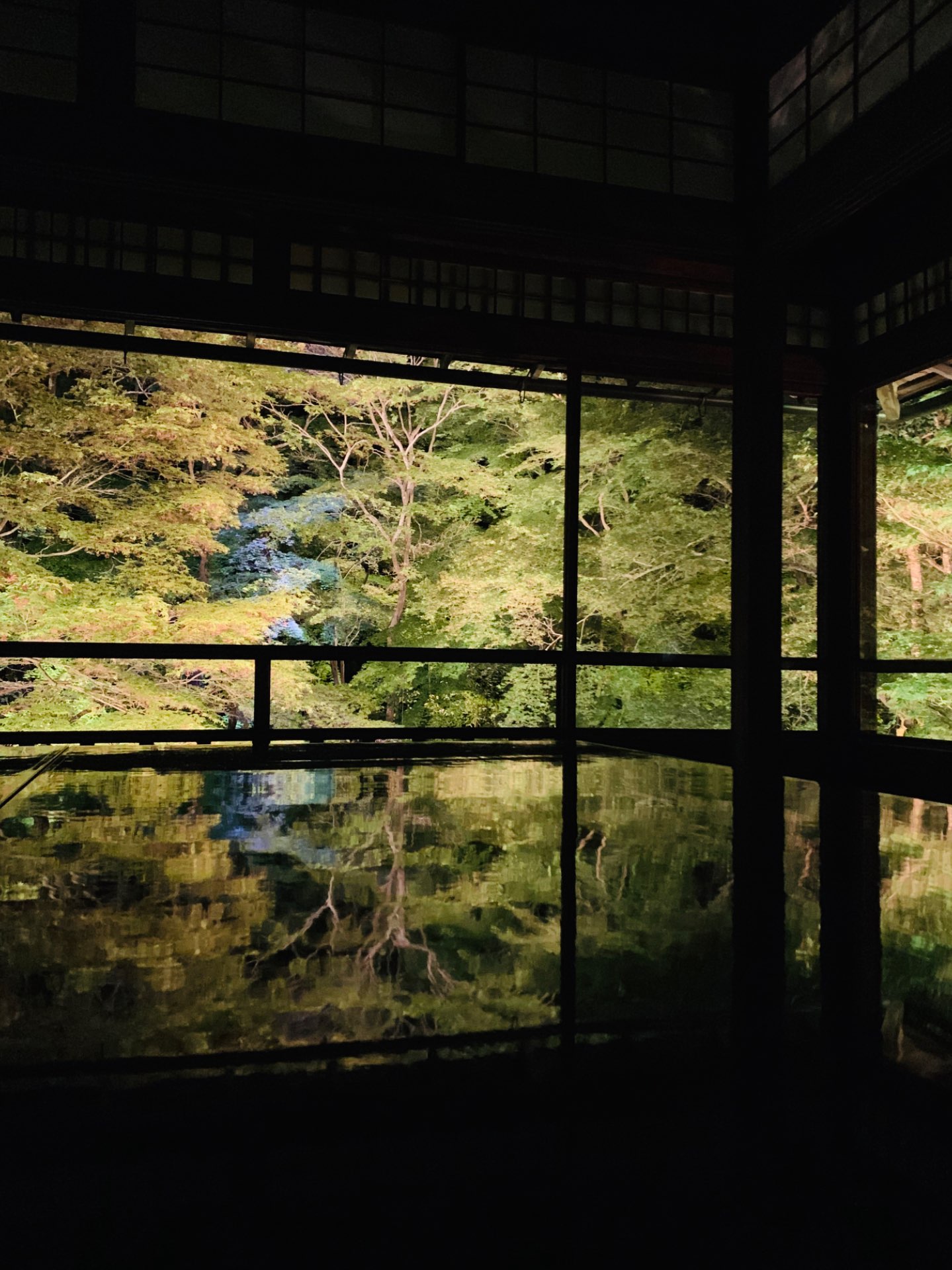 碧。さんのプロフィール画像