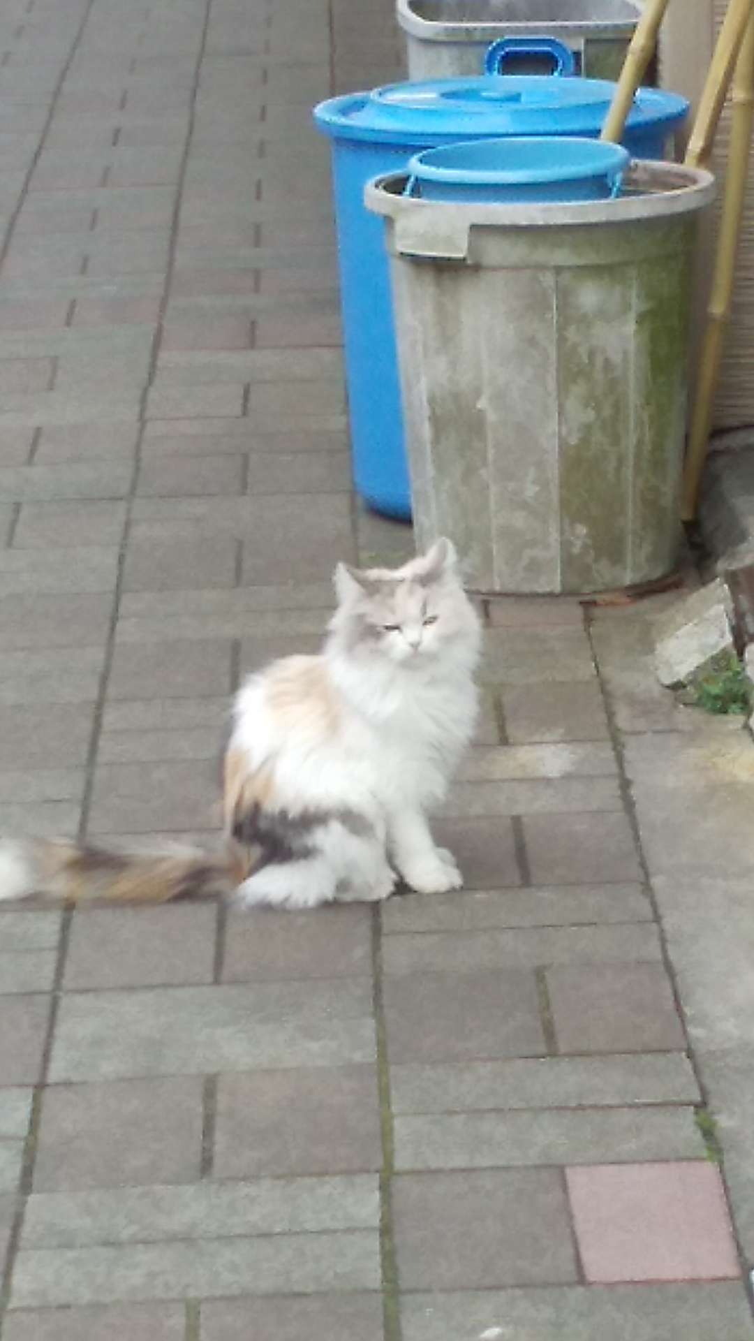 タケさんのプロフィール画像