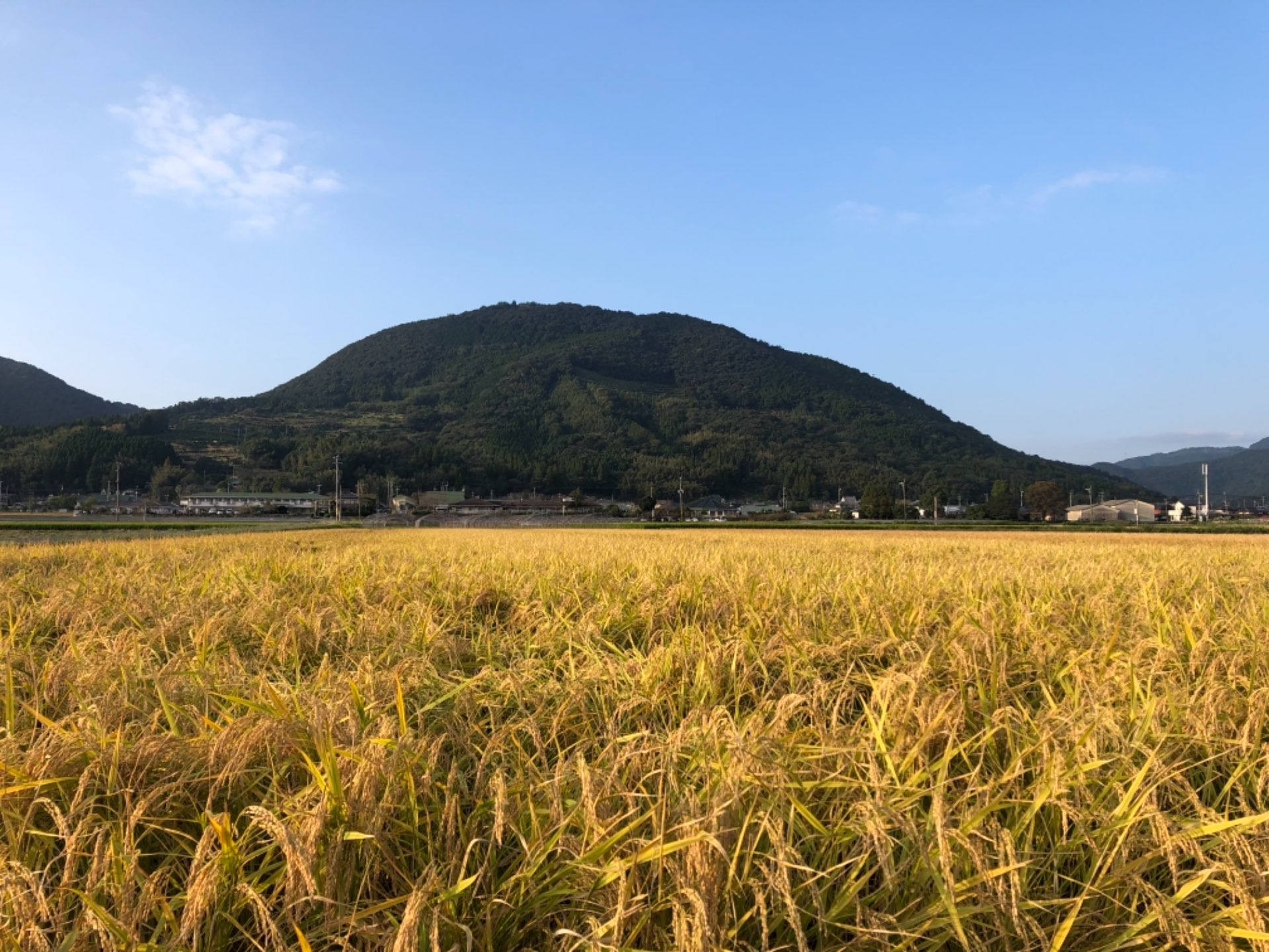 Hikoさんのプロフィール画像
