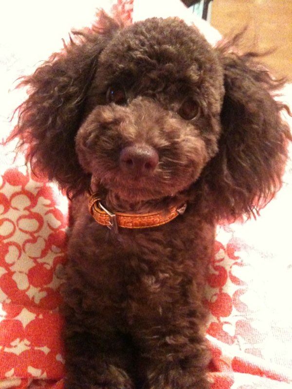 kanaeさんのプロフィール画像