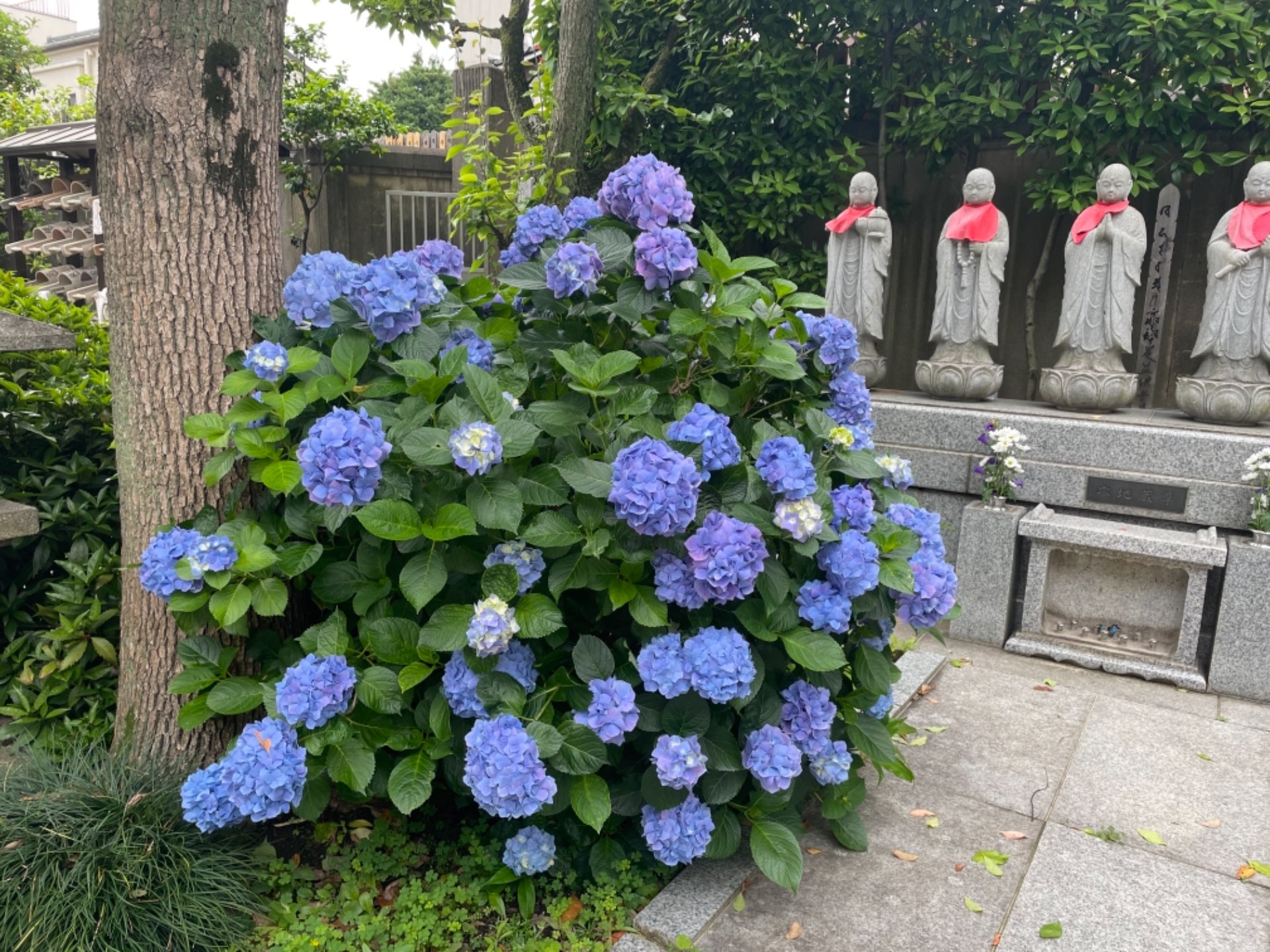 蛍さんのプロフィール画像