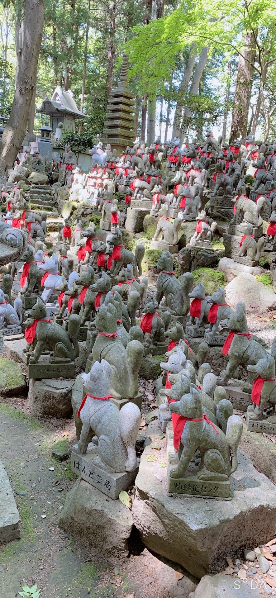 いづみさんのプロフィール画像