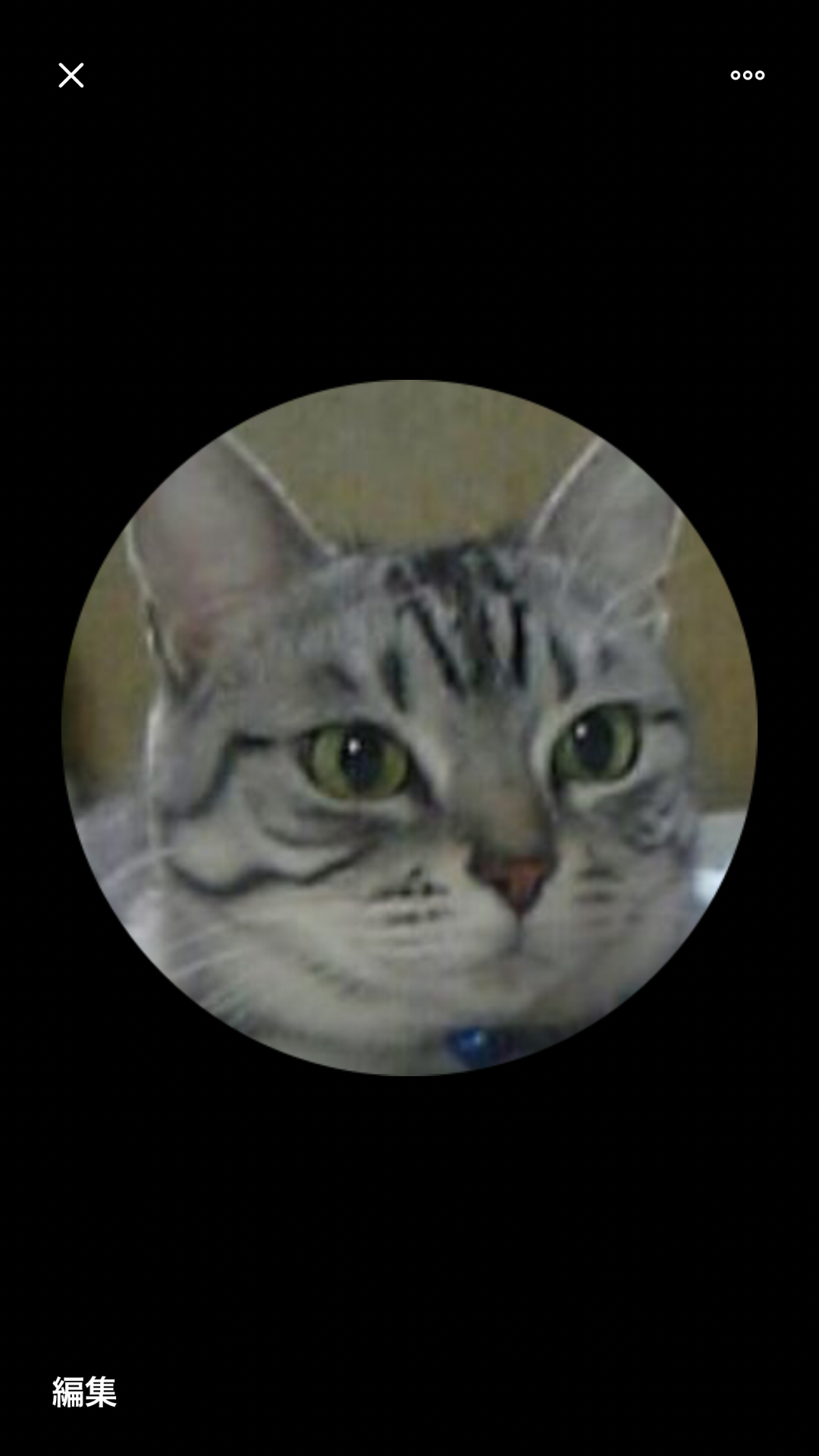 りゅうせいさんのプロフィール画像