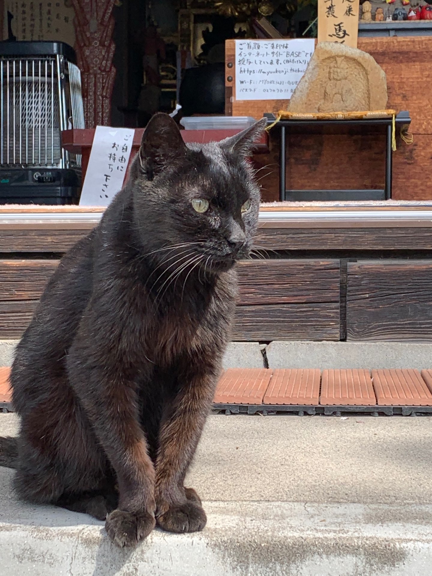 志光さんのプロフィール画像