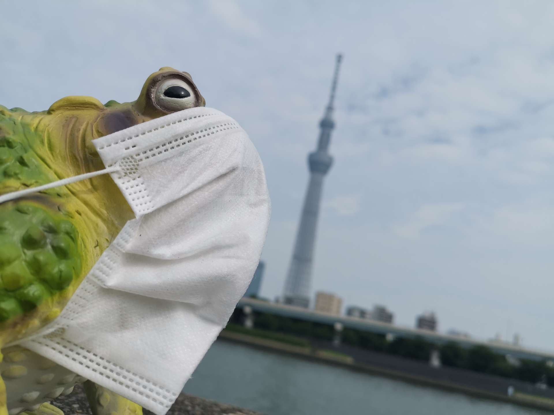 まぁの嫁さんのプロフィール画像