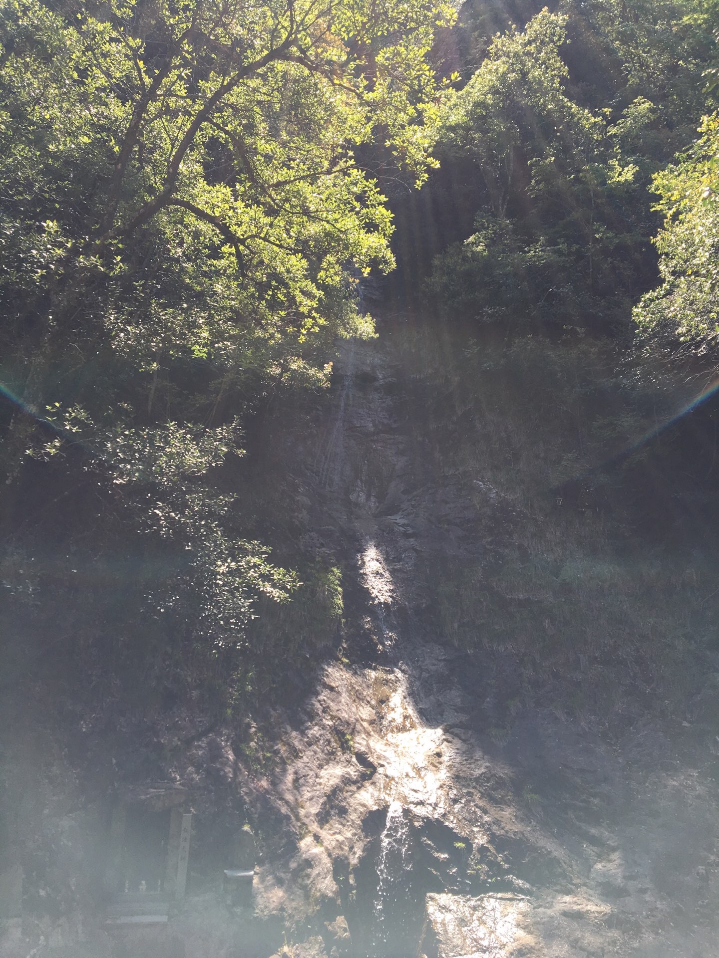 如意さんのプロフィール画像