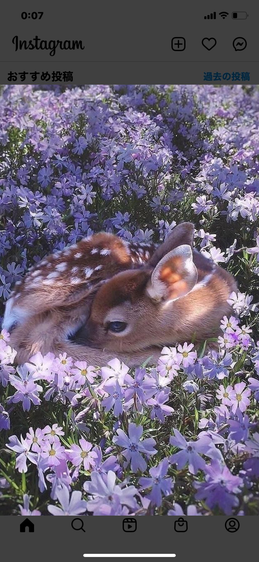 Y_Oさんのプロフィール画像