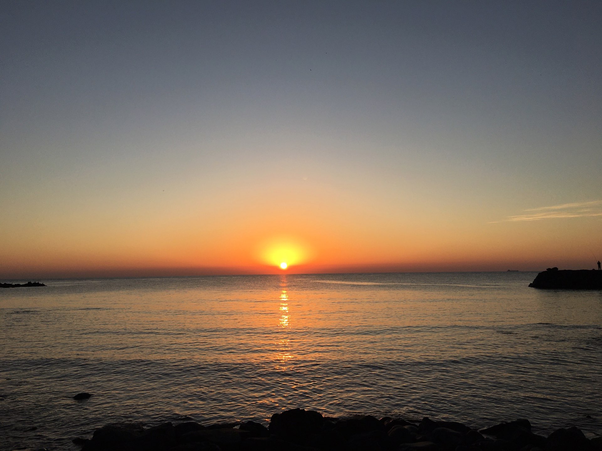 パッチさんのプロフィール画像