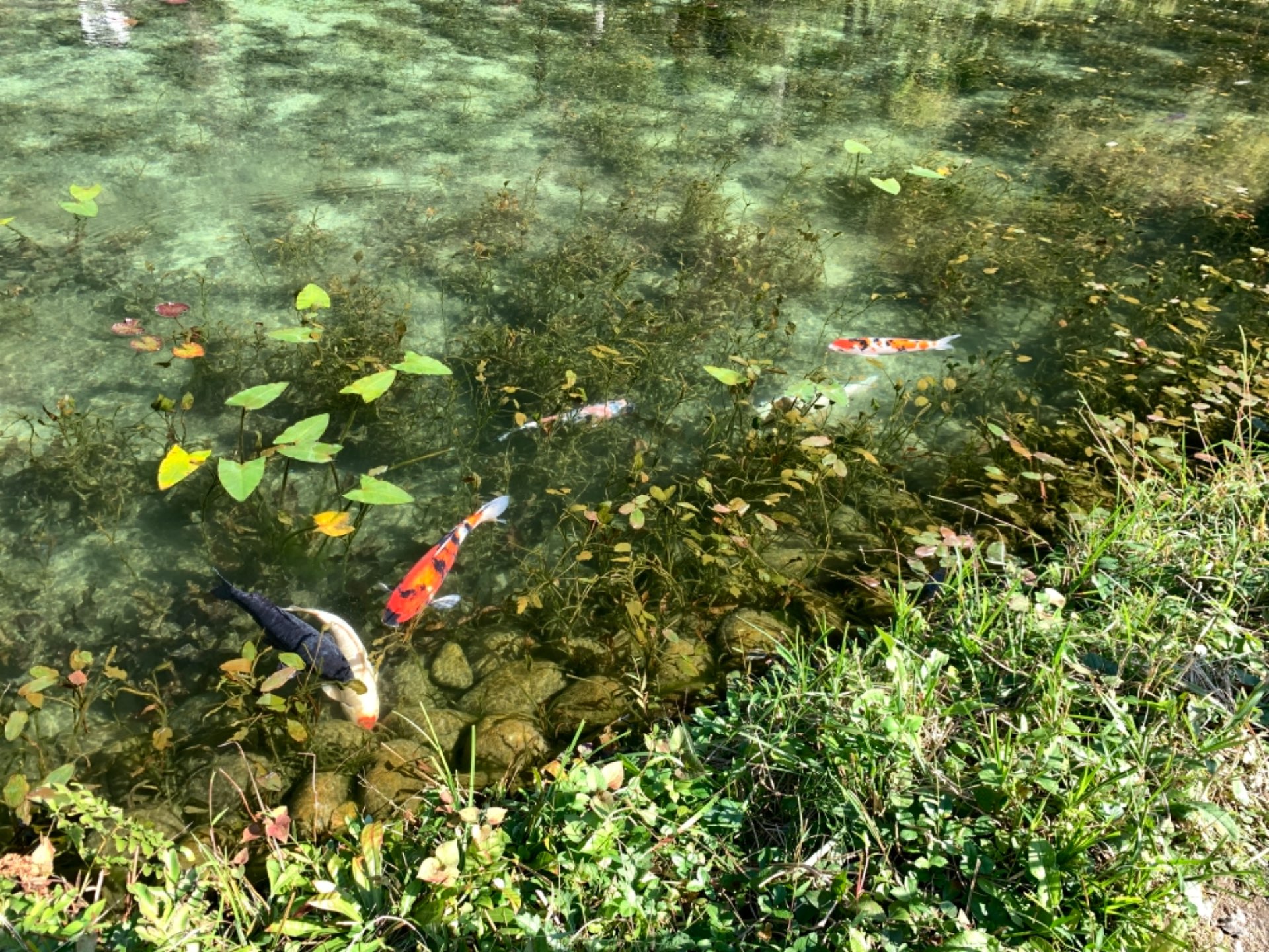 つうたんさんのプロフィール画像