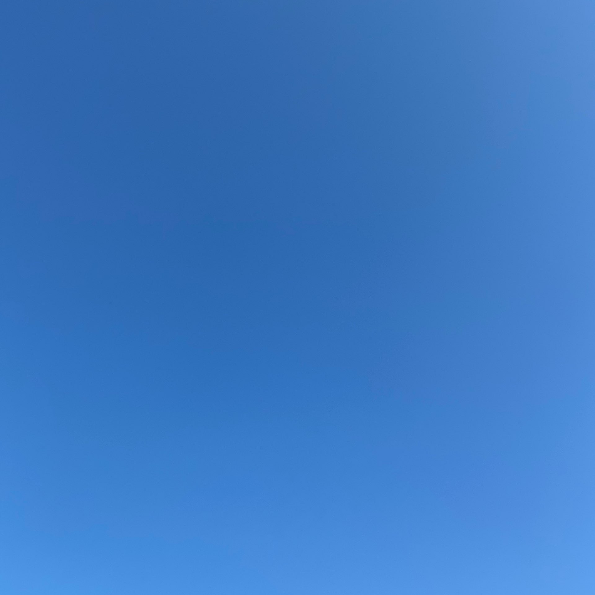 紡祈さんのプロフィール画像