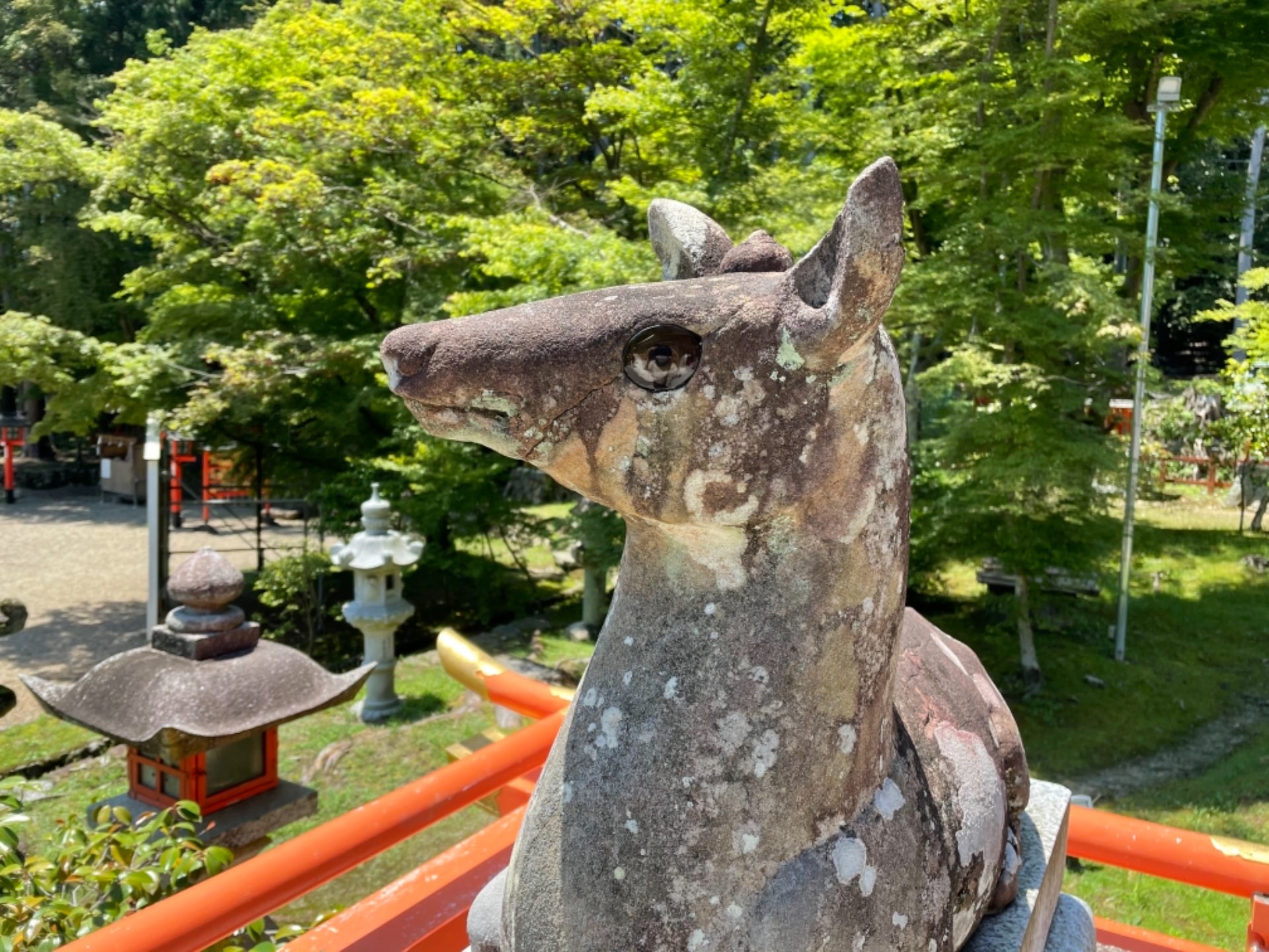 なでしこさんのプロフィール画像