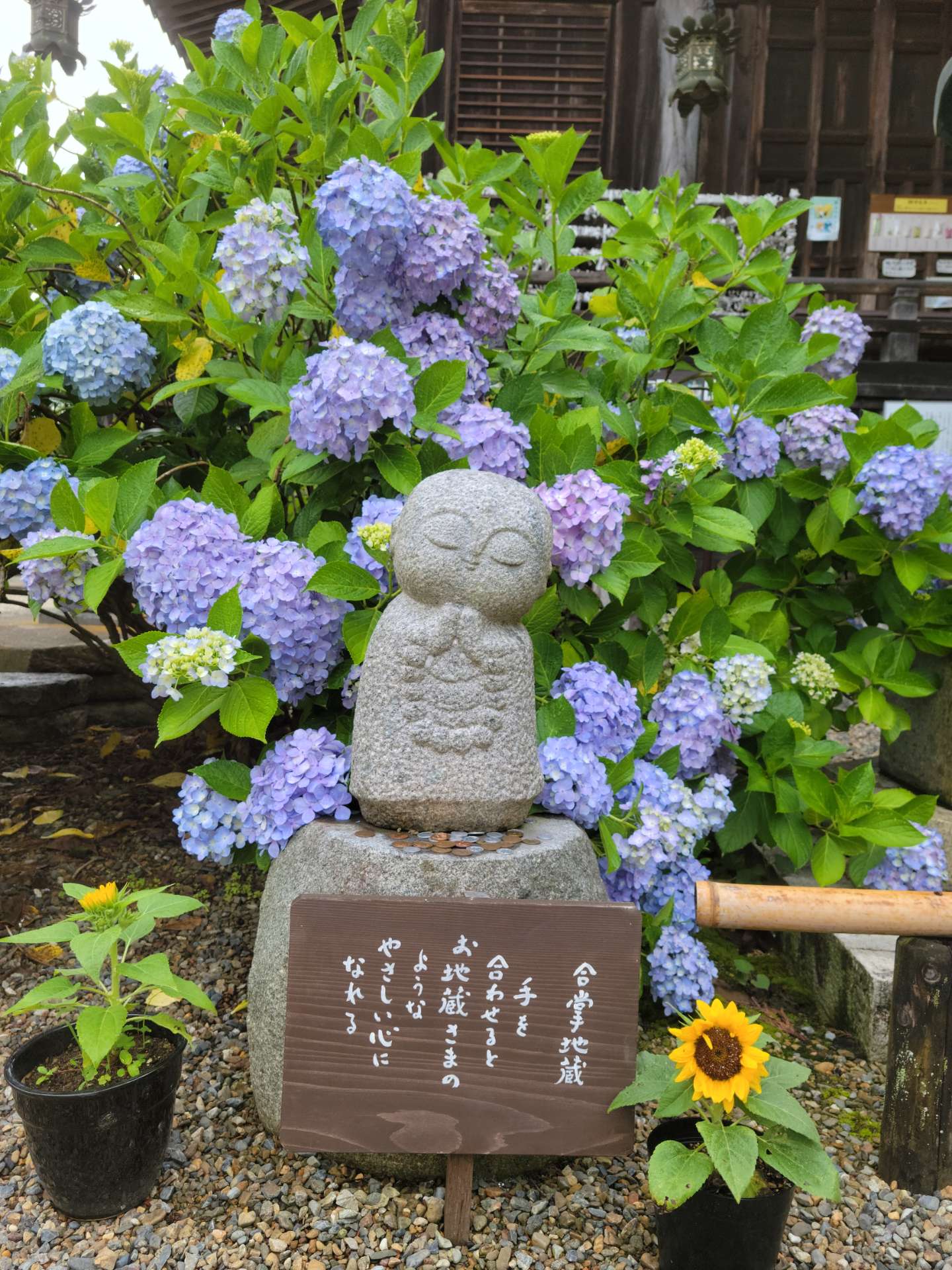 ユキさんのプロフィール画像