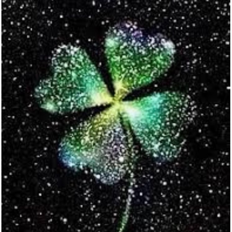 mkさんのプロフィール画像