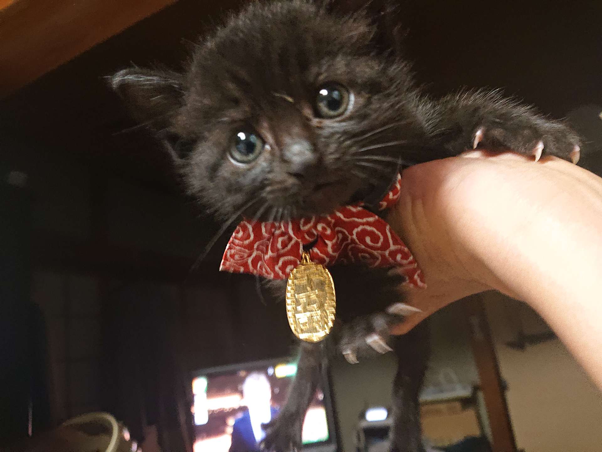 バナージさんのプロフィール画像