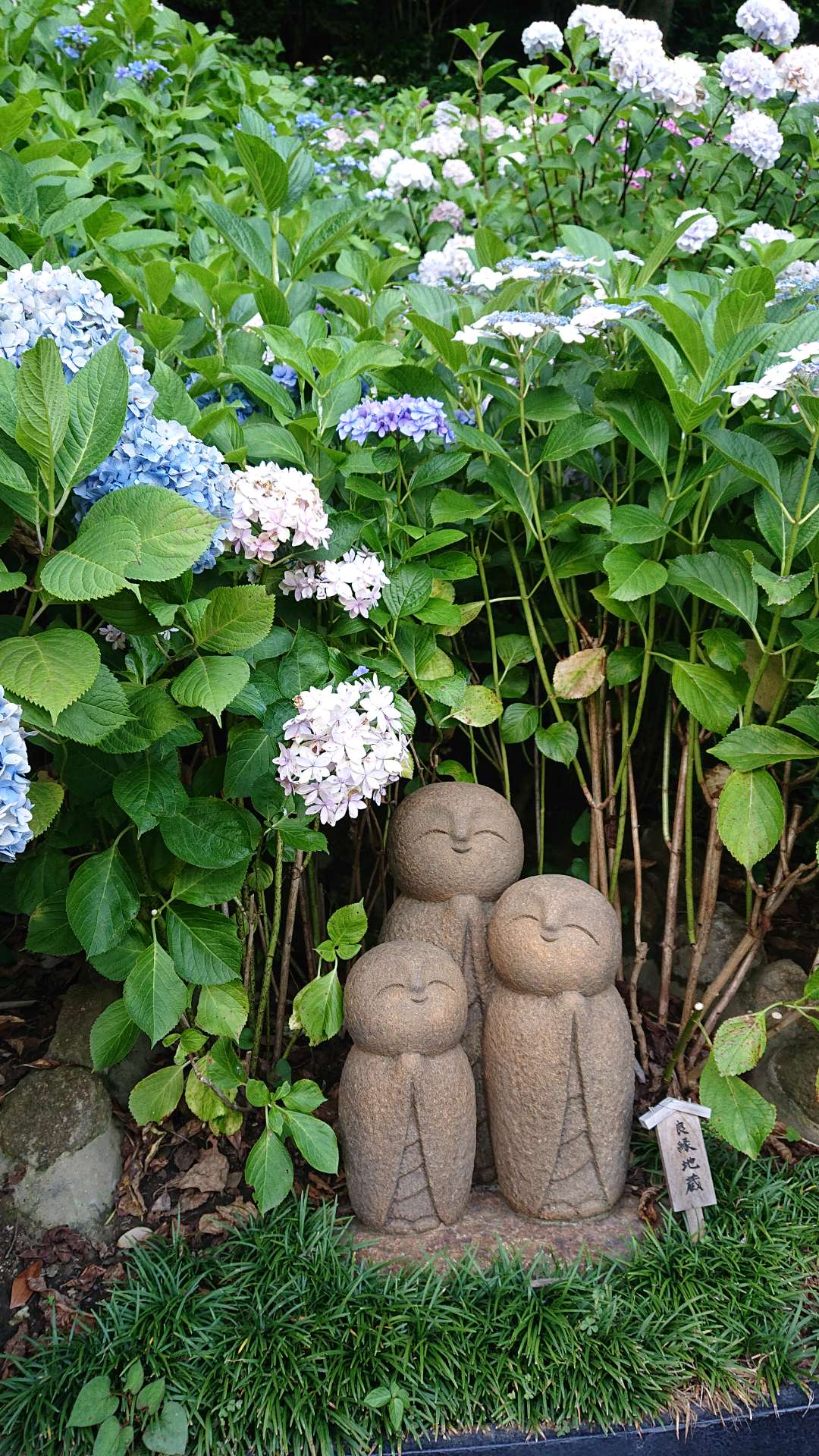 madokyingさんのプロフィール画像