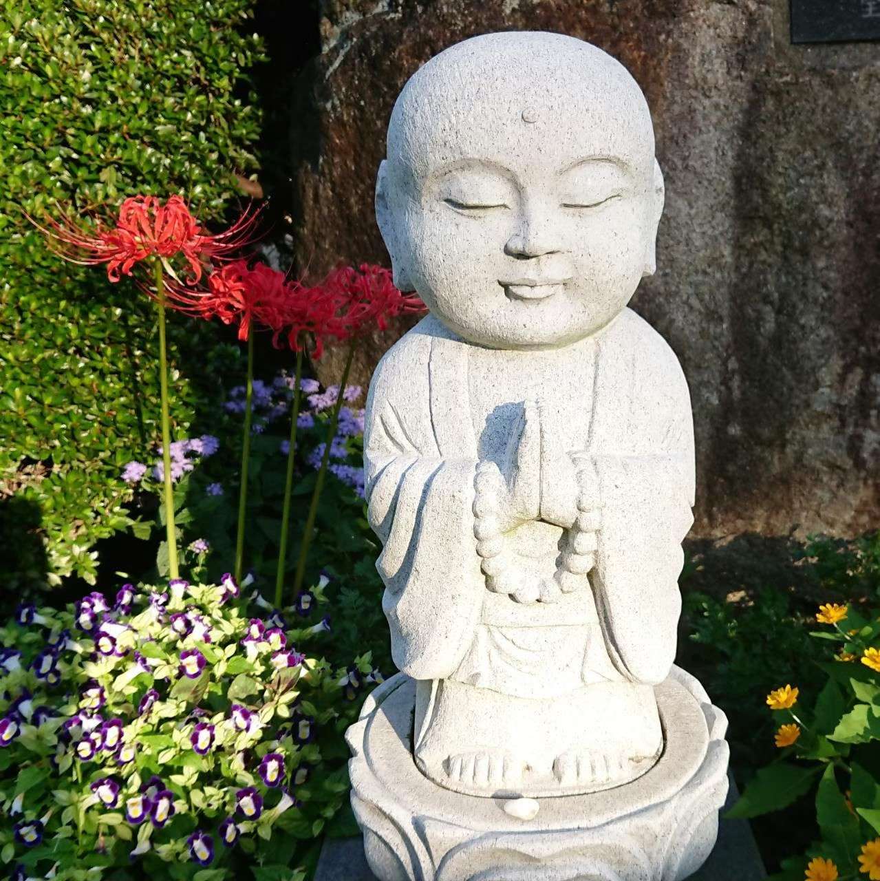 正源寺さんのプロフィール画像