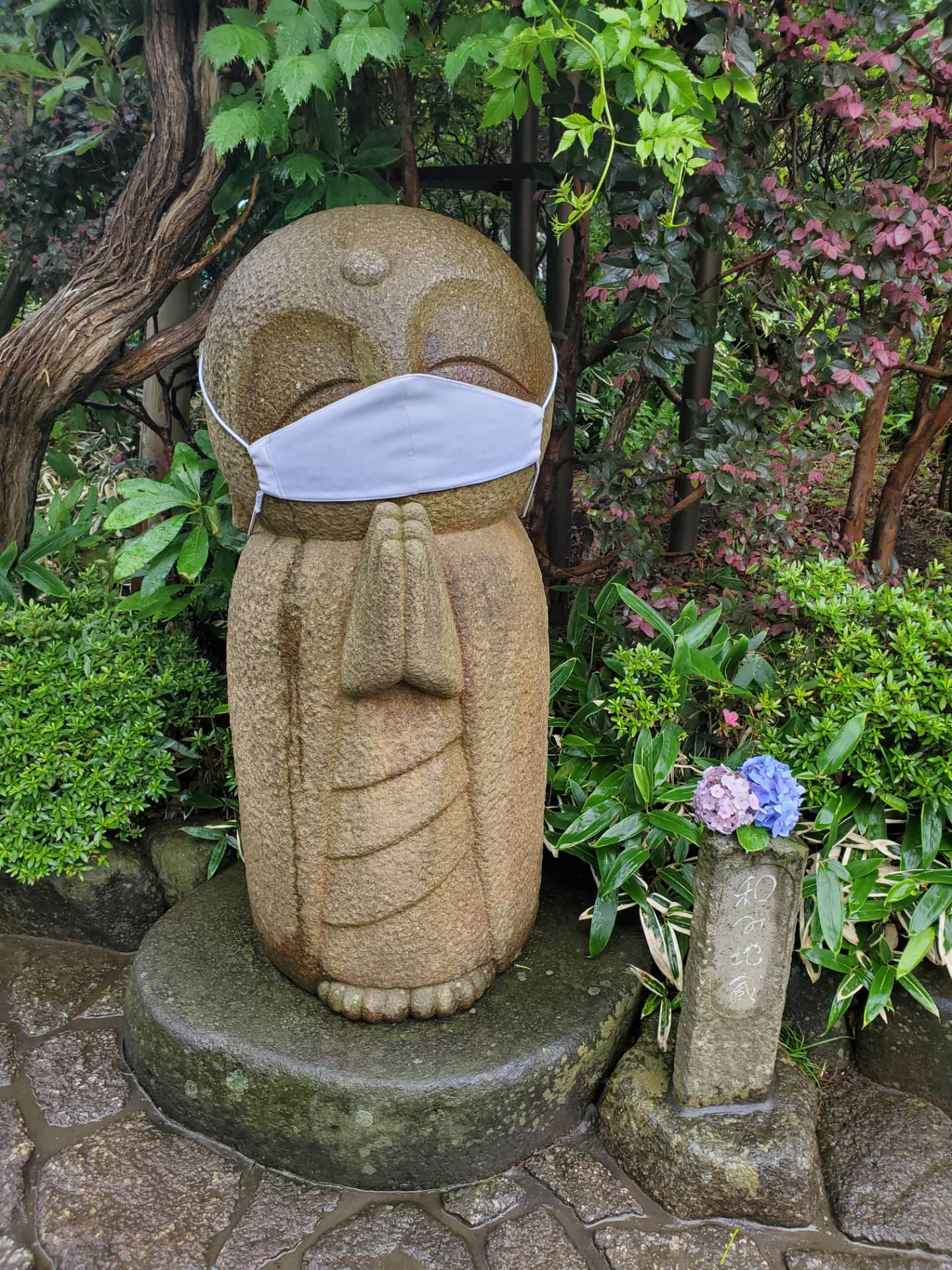 chiaさんのプロフィール画像