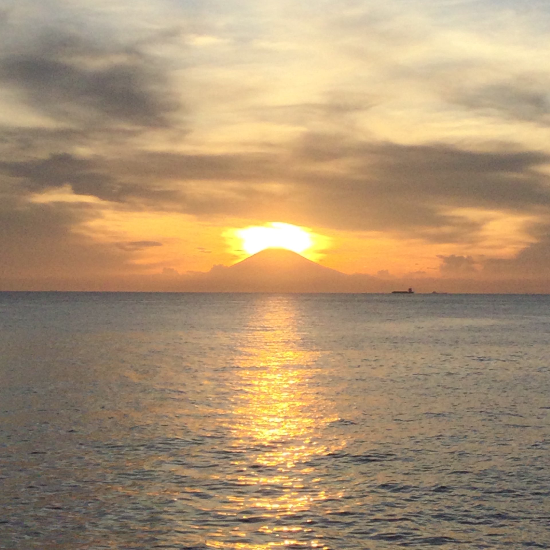 きむこさんのプロフィール画像