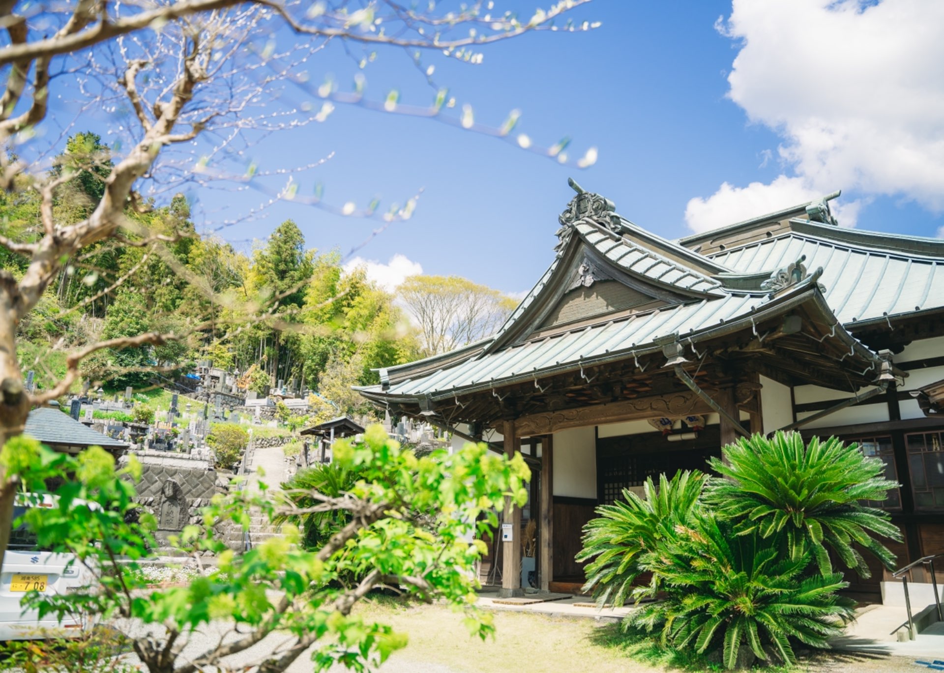 円通寺さんのプロフィール画像