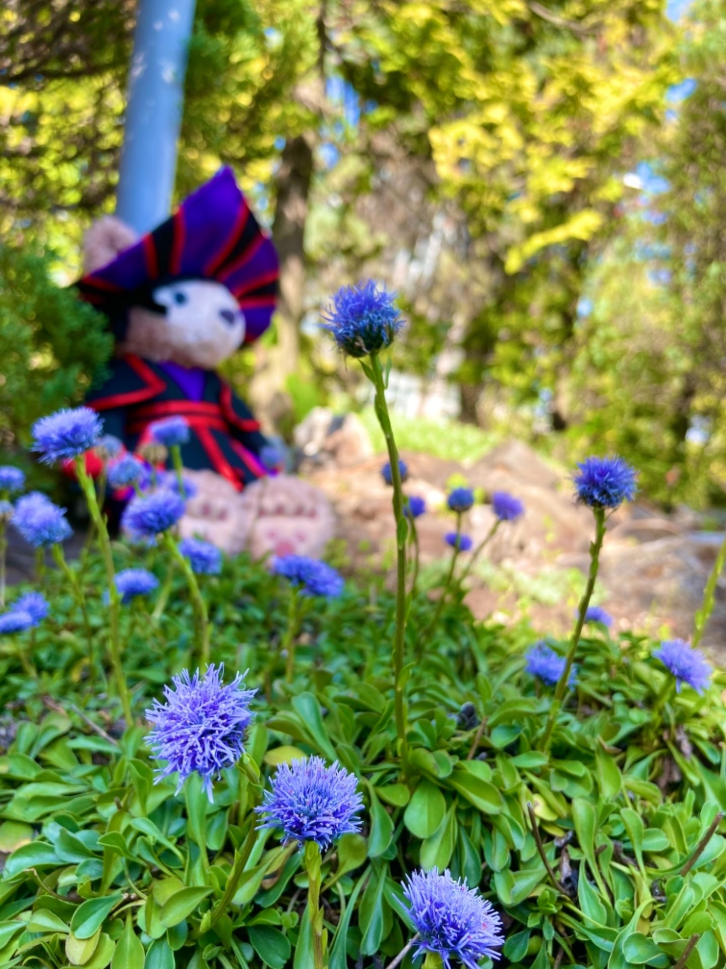 月蝕@さんのプロフィール画像