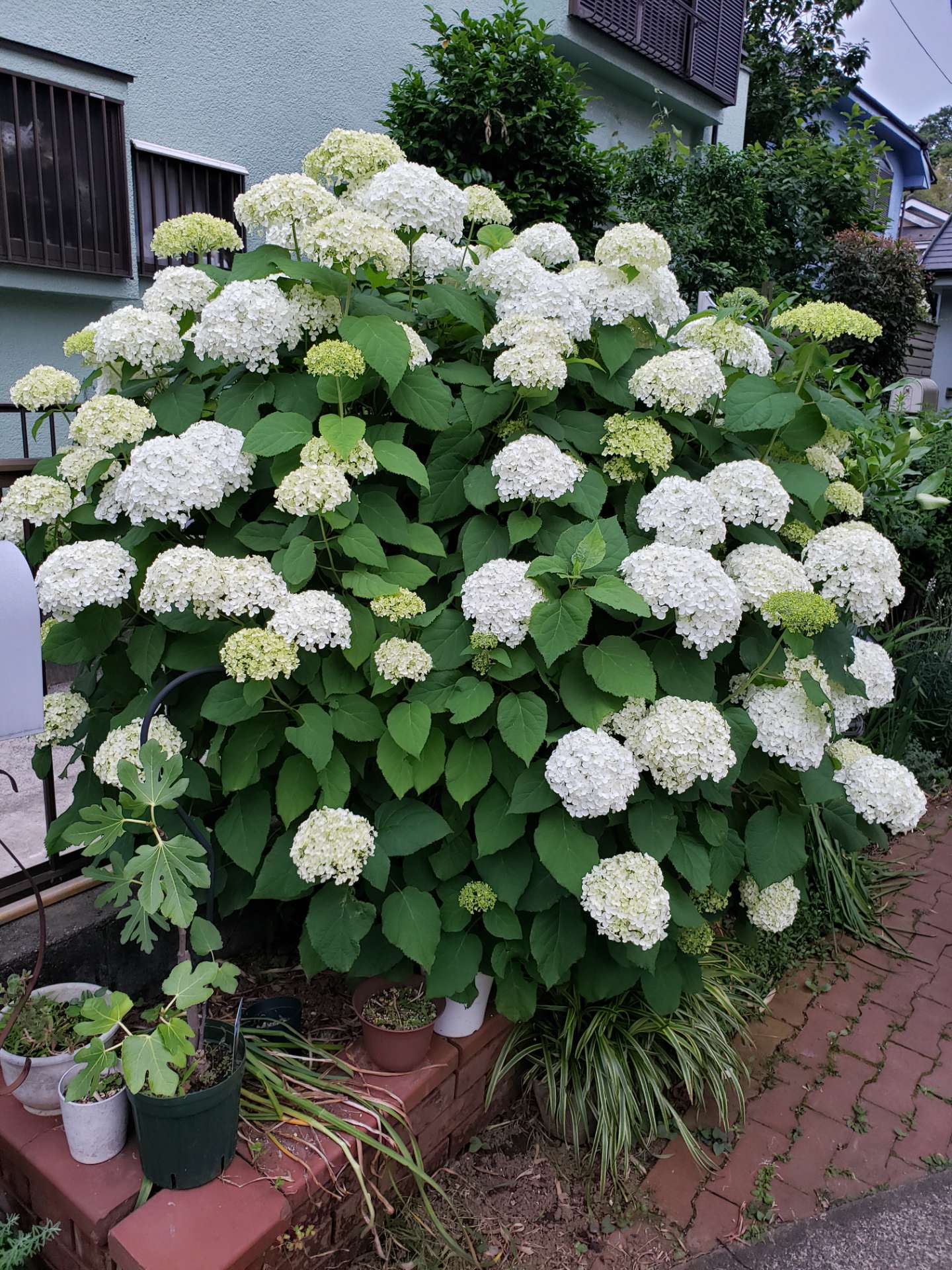 KUMI93さんのプロフィール画像