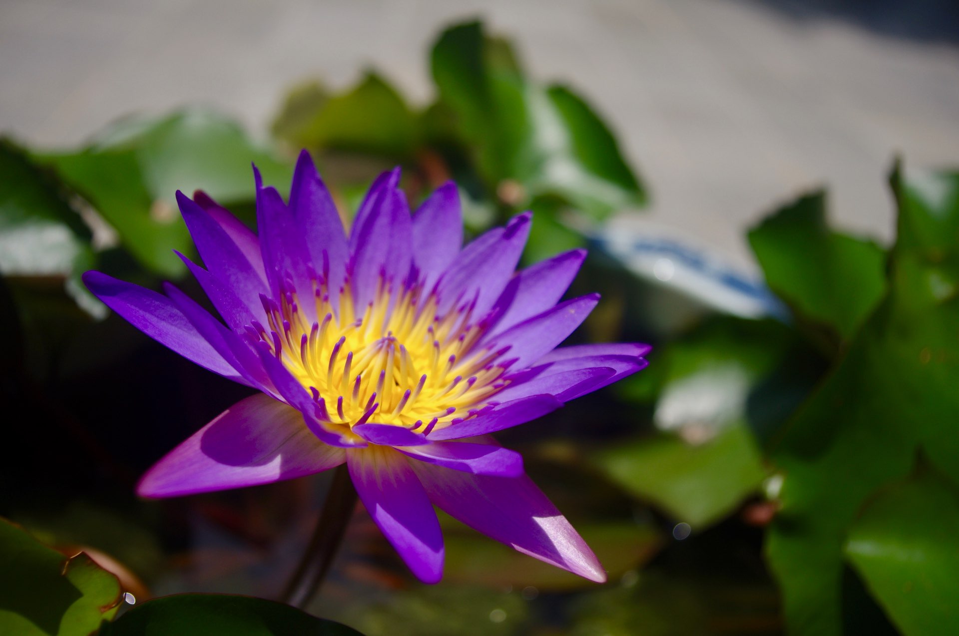 福王山慈眼寺　副住職さんのプロフィール画像