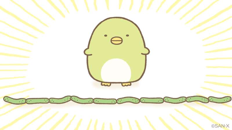 かっぱちゃん(おっさん)さんのプロフィール画像