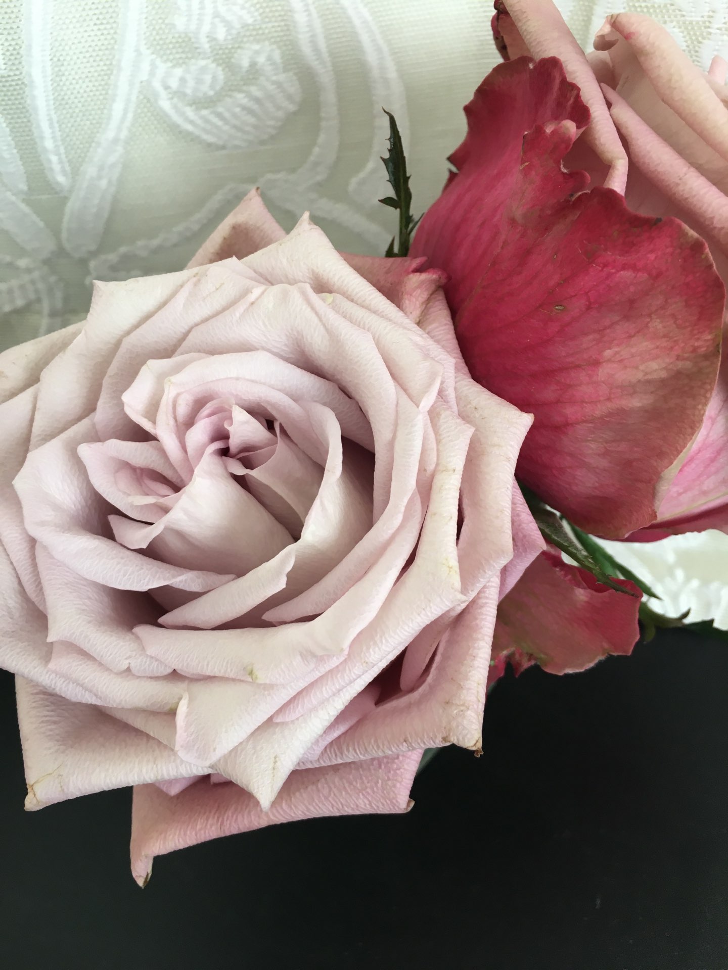 おみぃさんのプロフィール画像