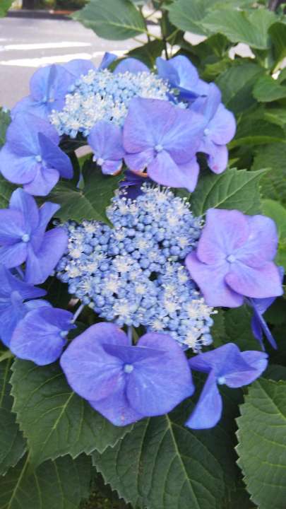 童夢83さんのプロフィール画像