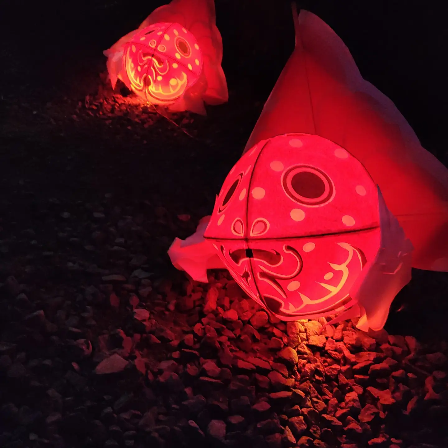 ペネロペさんのプロフィール画像