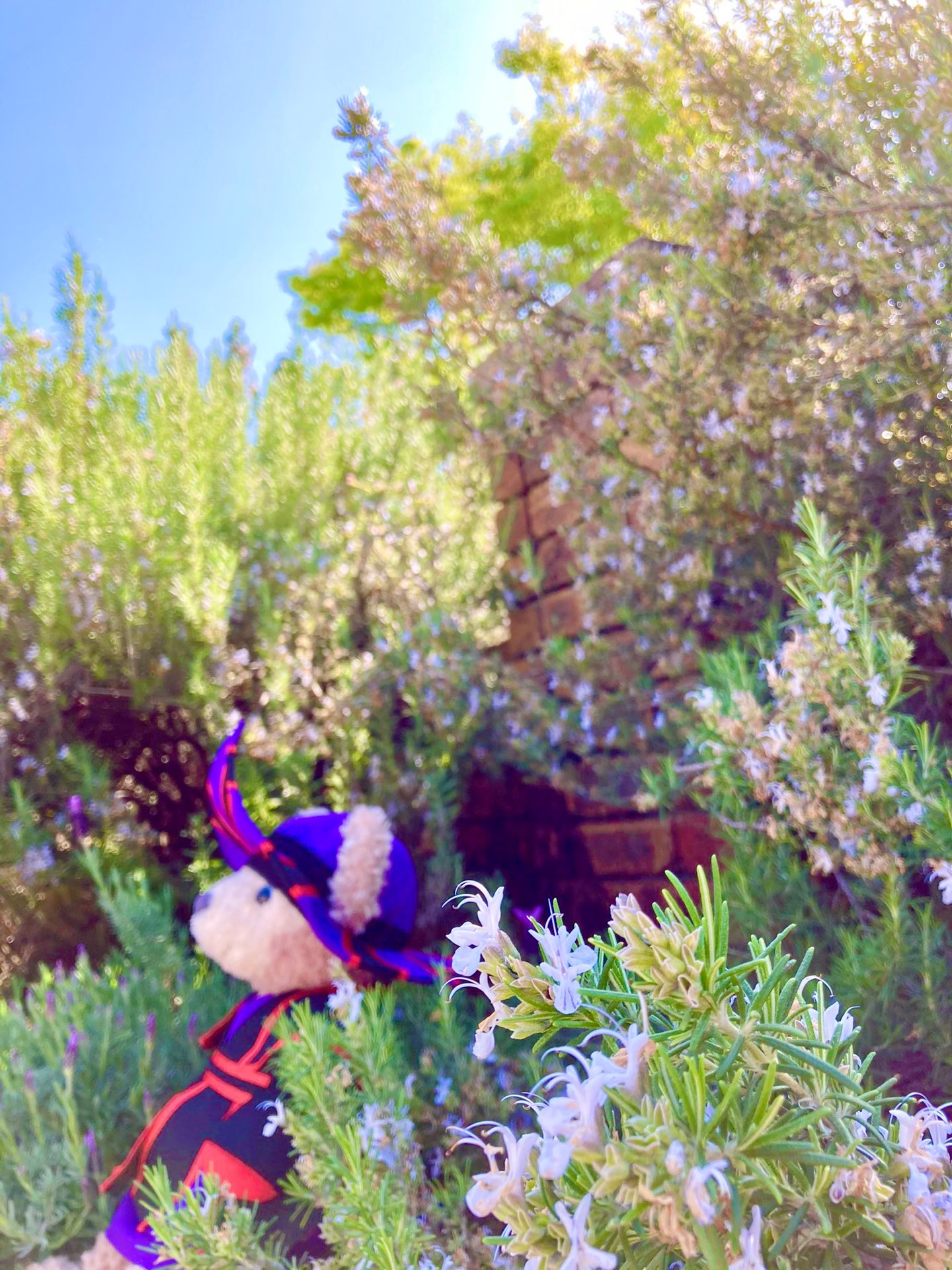 月蝕さんのプロフィール画像