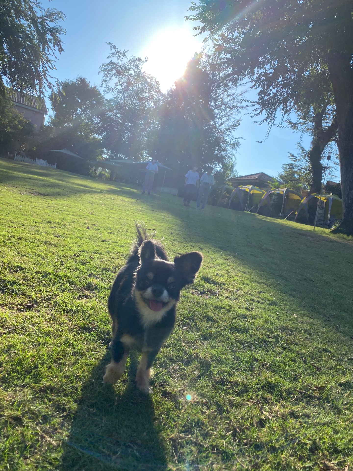 モーリスさんのプロフィール画像