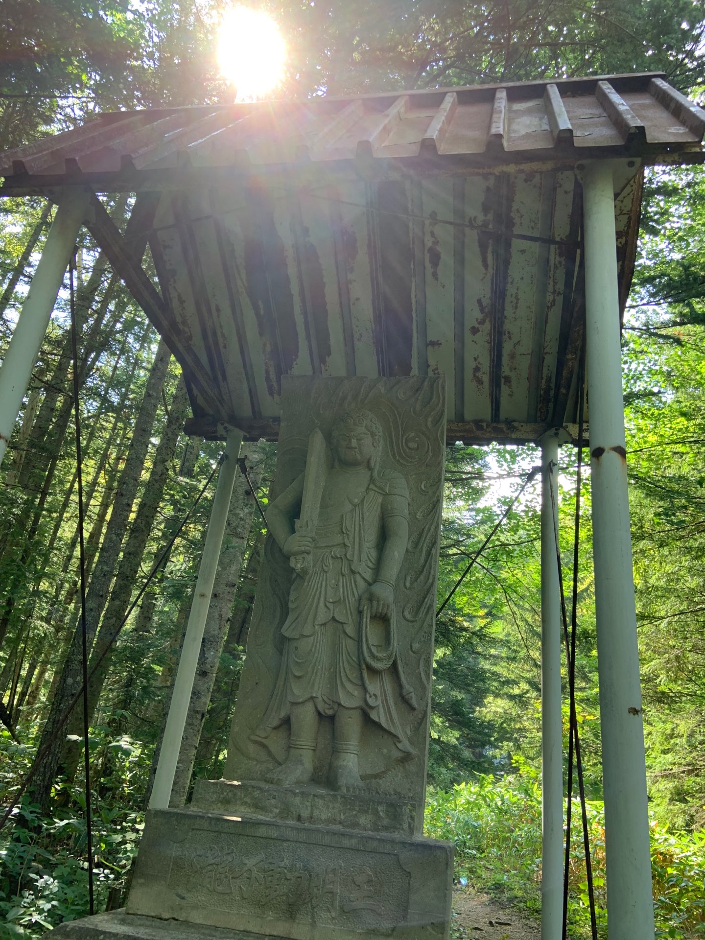 あいさんのプロフィール画像