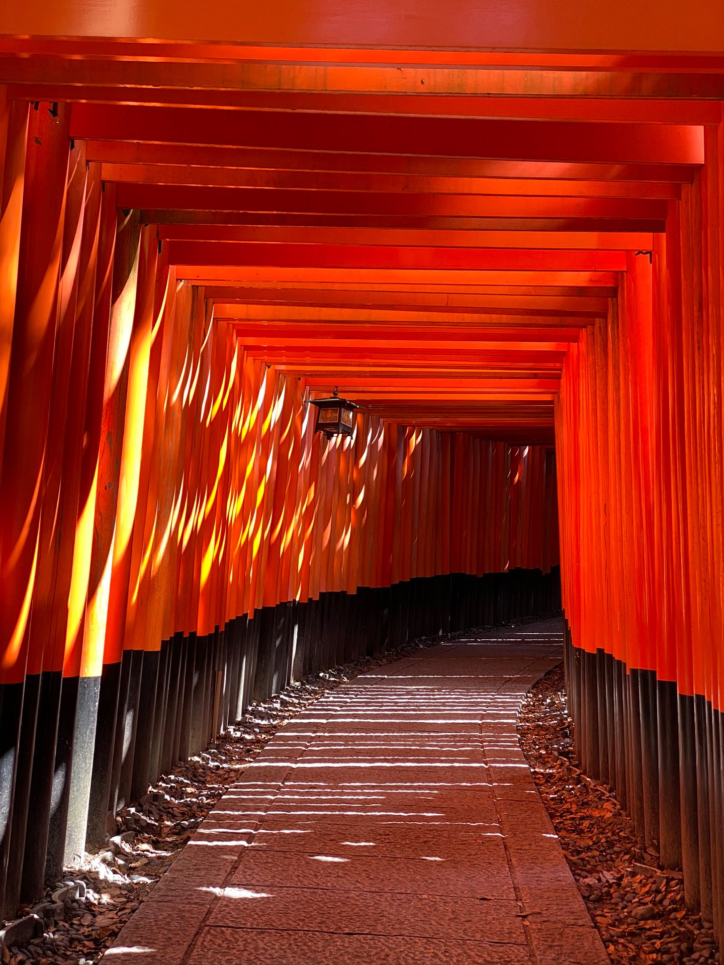 ORIさんのプロフィール画像