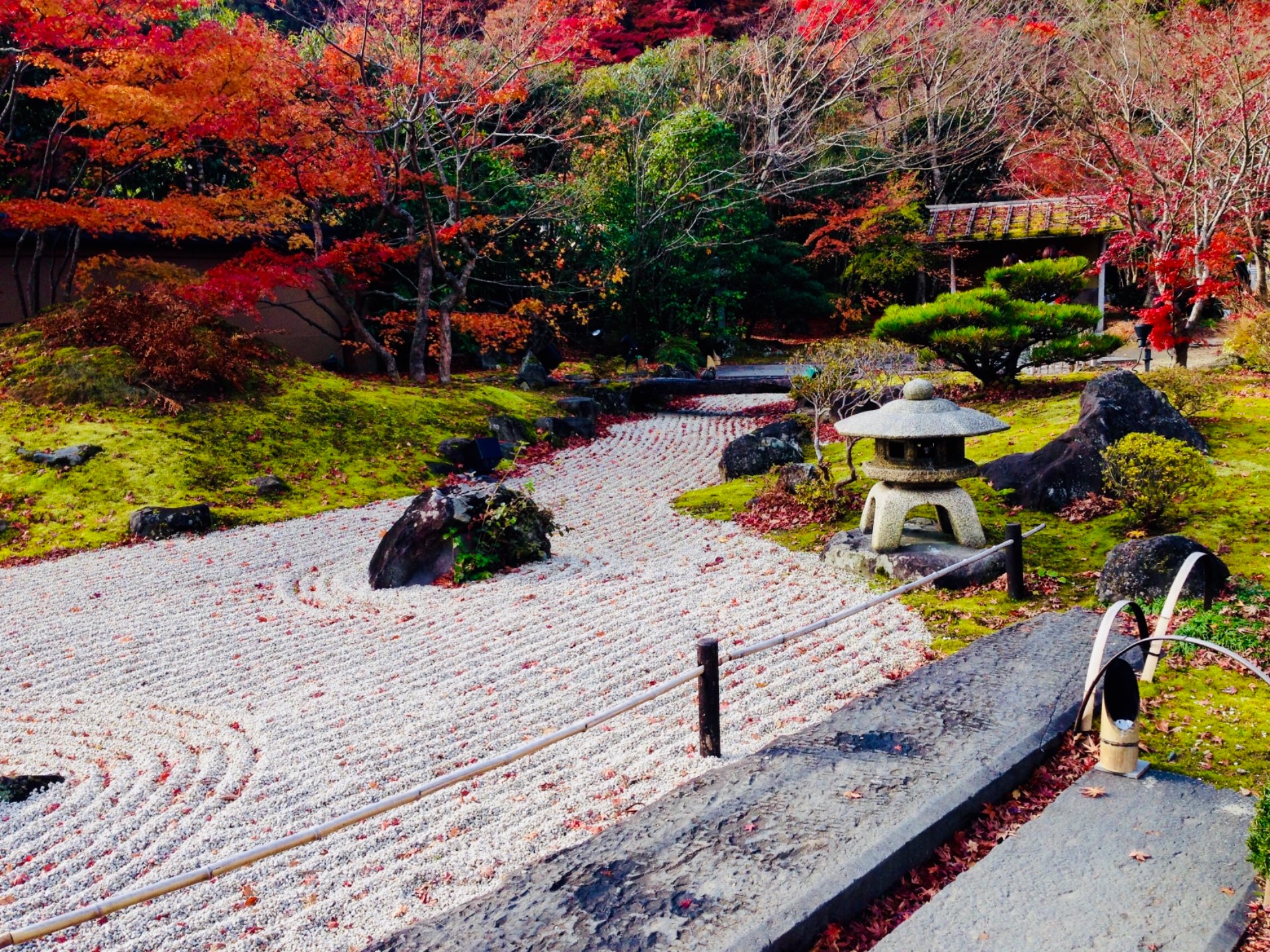真衣さんのプロフィール画像