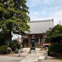 妙蓮寺 広報部さんのプロフィール画像