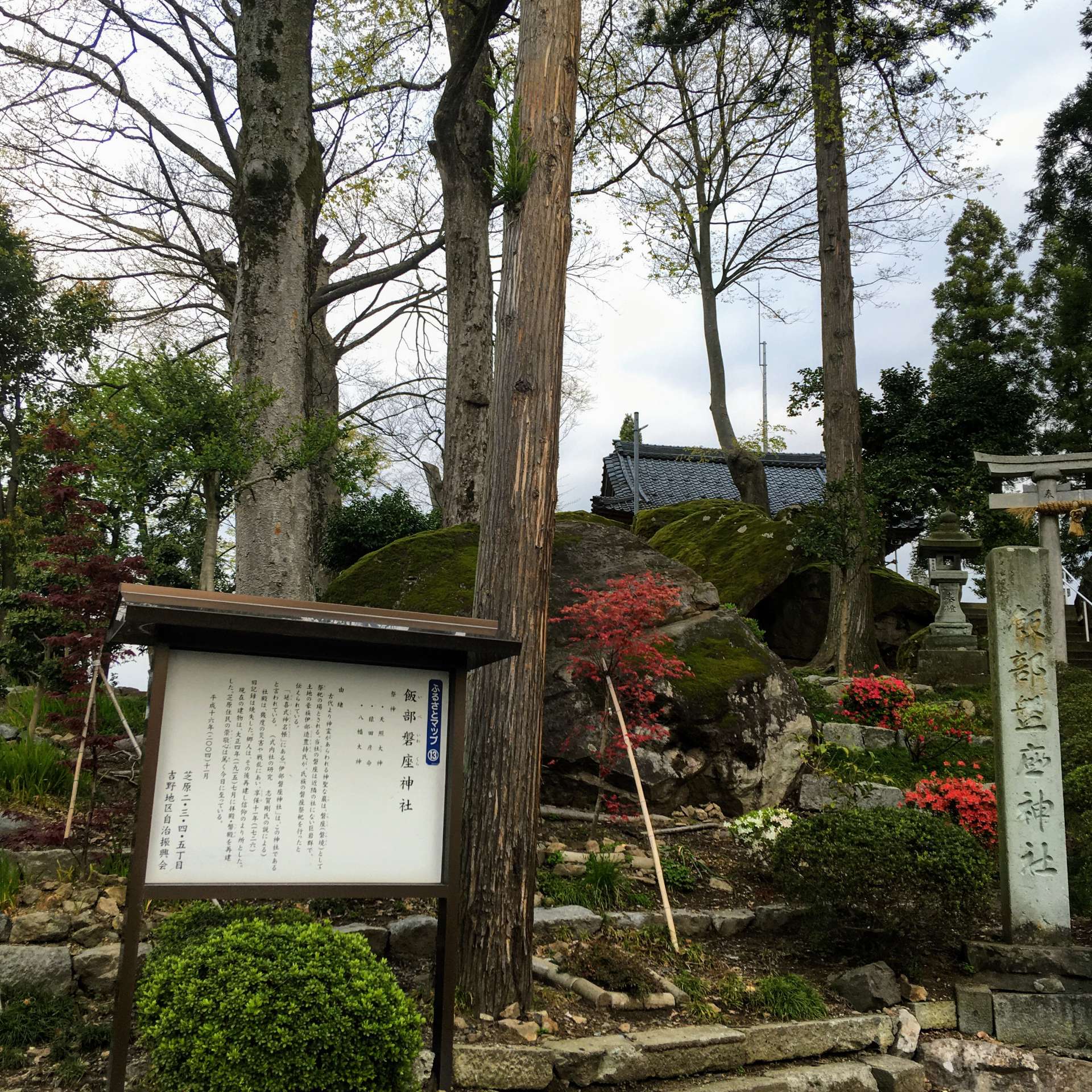飯部磐座神社さんのプロフィール画像