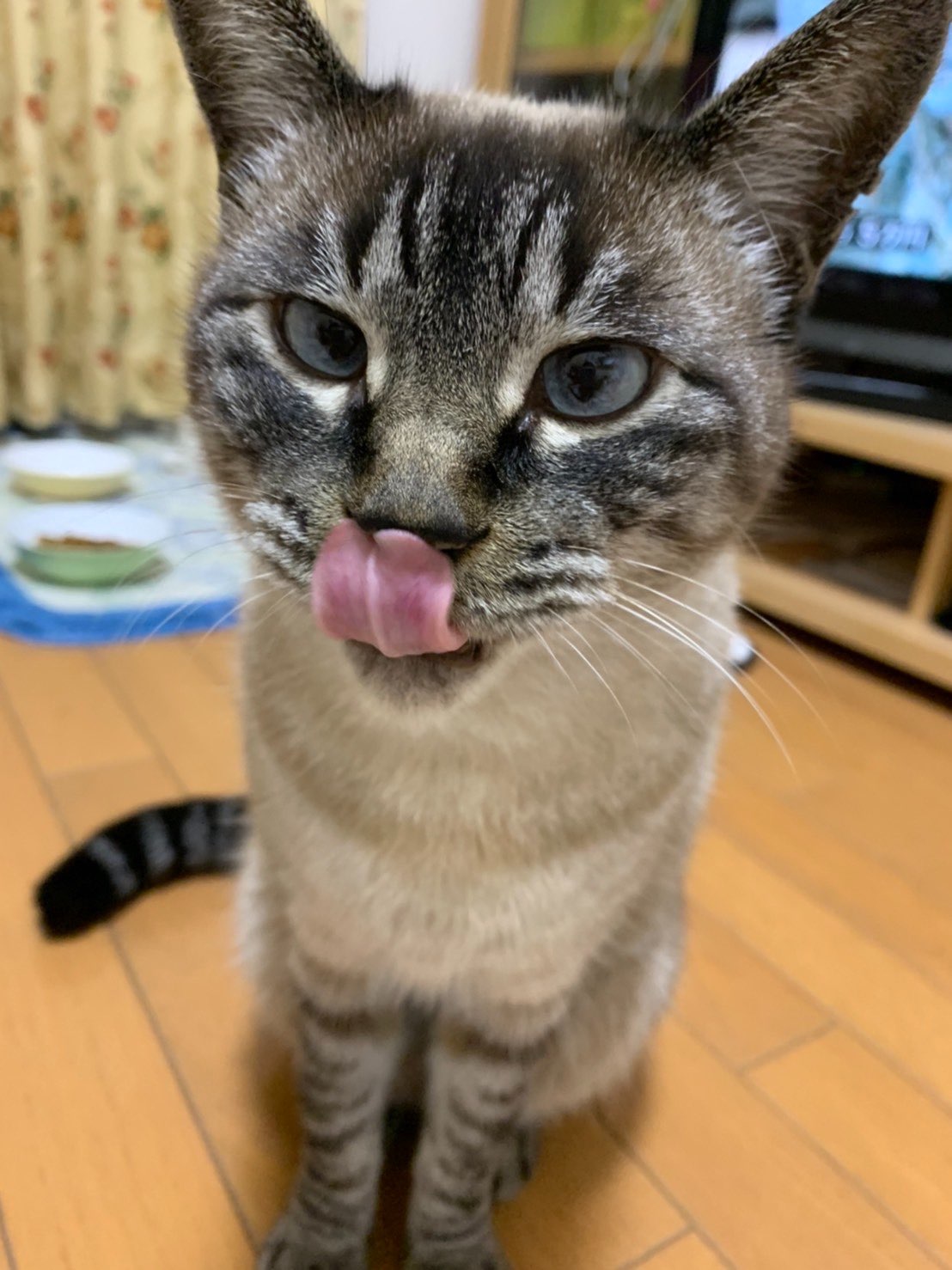 えんちゃん55さんのプロフィール画像