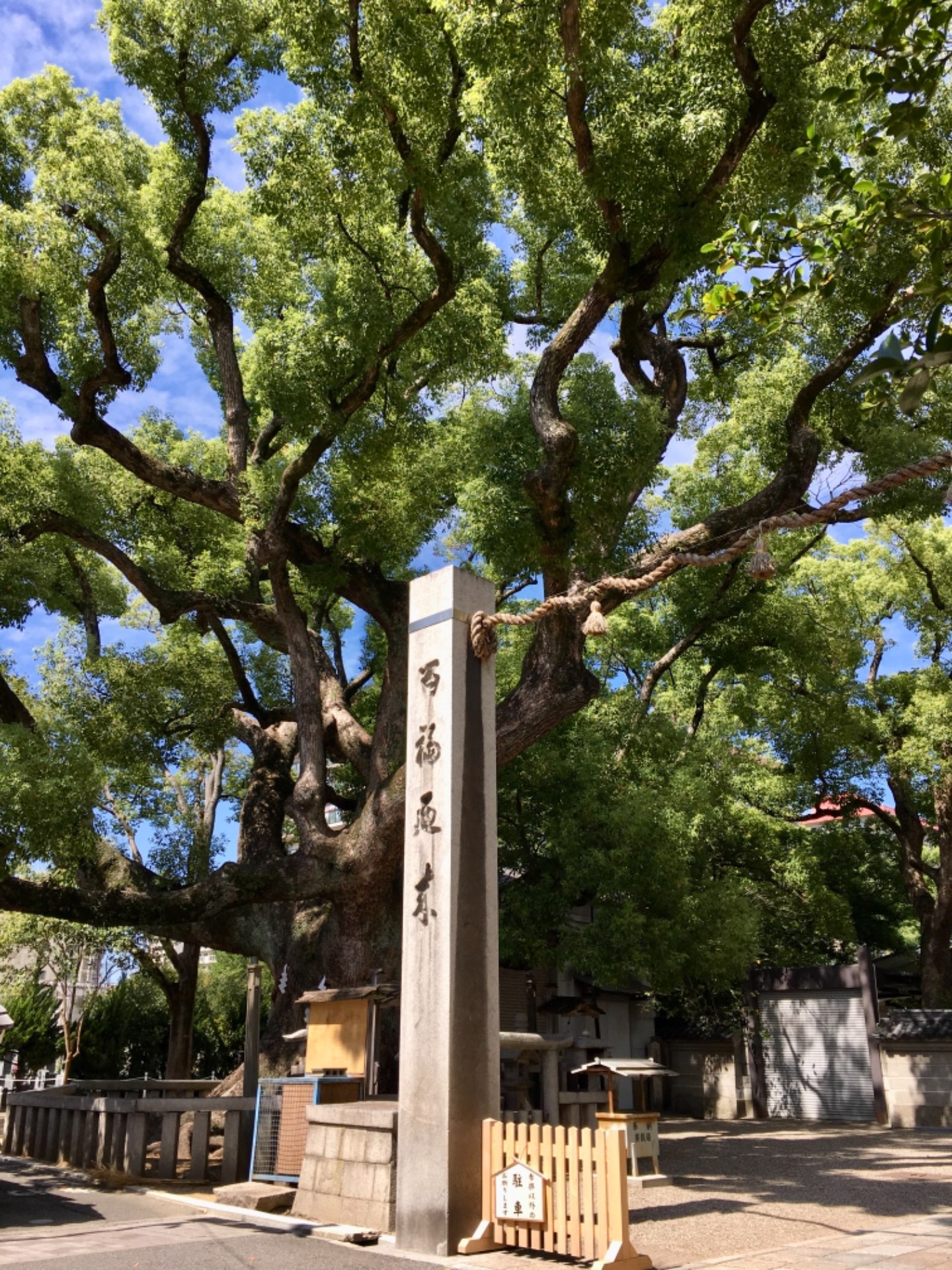 さーさんのプロフィール画像