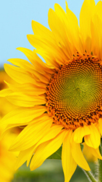 奈央さんのプロフィール画像